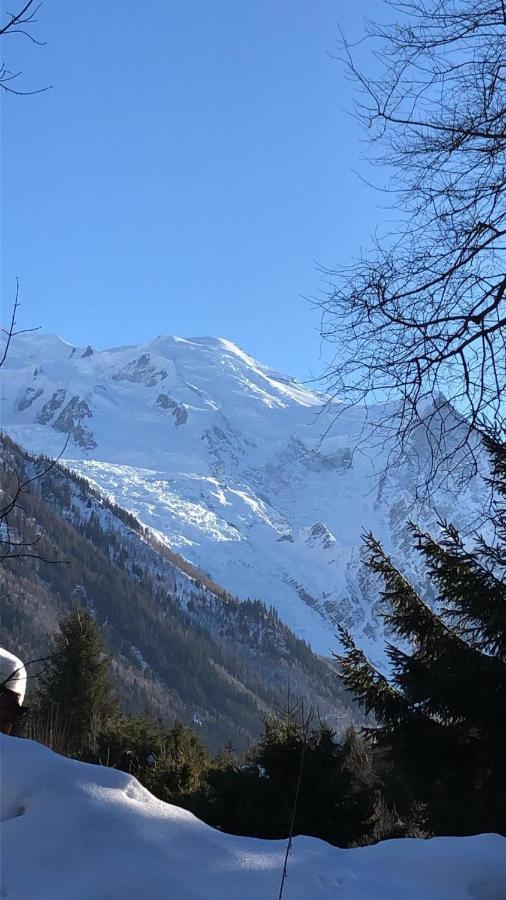 Appartement Chamonix Montblanc 1 A 4 Personnes 外观 照片