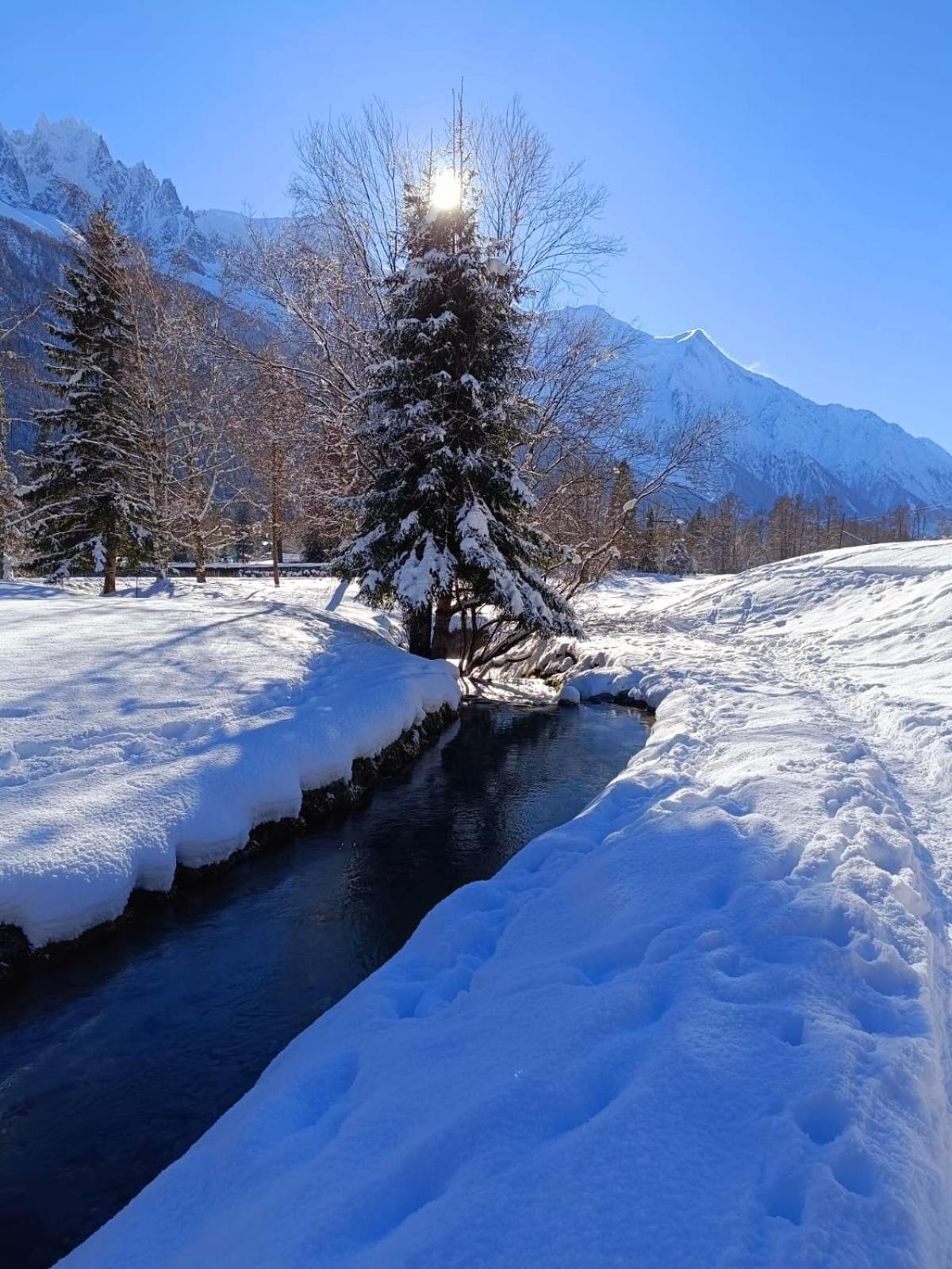 Appartement Chamonix Montblanc 1 A 4 Personnes 外观 照片