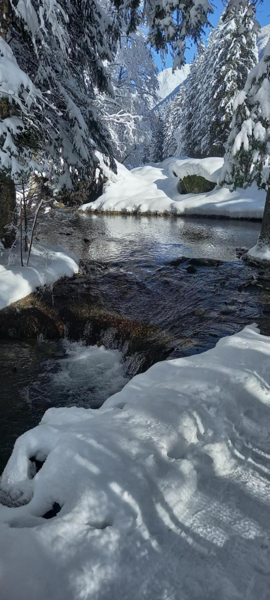 Appartement Chamonix Montblanc 1 A 4 Personnes 外观 照片