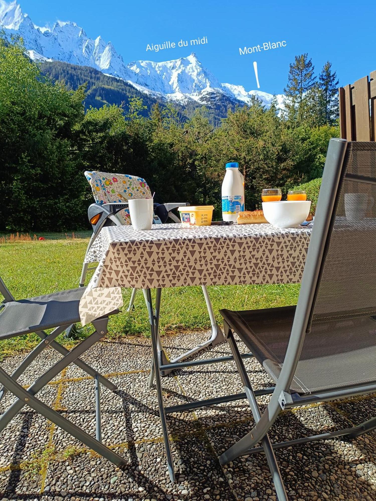 Appartement Chamonix Montblanc 1 A 4 Personnes 外观 照片